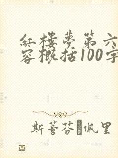 红楼梦第六回内容概括100字
