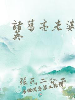 诸葛亮老婆黄月英