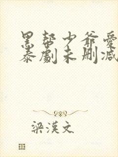 黑帮少爷爱上我泰剧未删减版