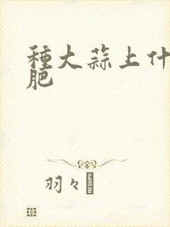 种大蒜上什么底肥
