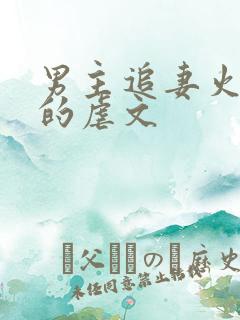 男主追妻火葬场的虐文 男主追妻火葬场的虐文