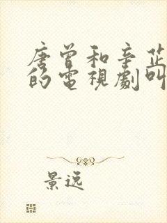 唐曾和辛芷蕾演的电视剧叫什么