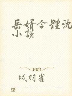 岳婿合体沈绝的小说