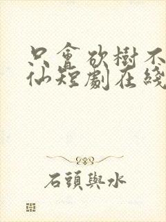 只会砍树不会修仙短剧在线观看