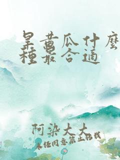旱黄瓜什么时候种最合适