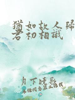 犹如故人归,与君初相识