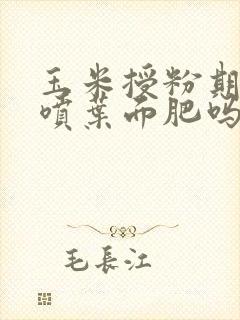 玉米授粉期可以喷叶面肥吗
