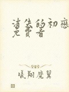 消失的初恋日剧免费看