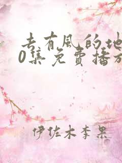 去有风的地方40集免费播放电视剧