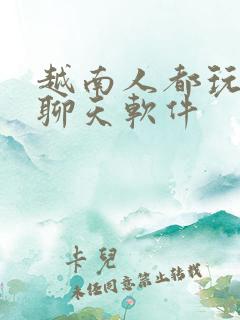 越南人都玩什么聊天软件