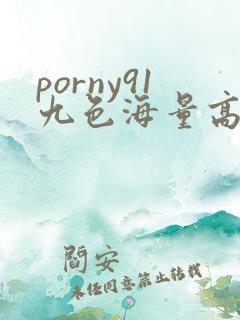 porny91九色海量高清