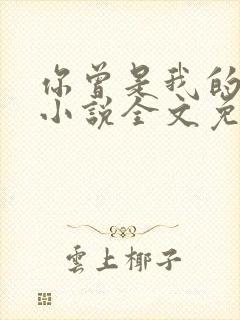 你曾是我的唯一小说全文免费阅读