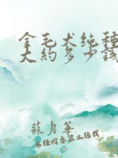 金毛犬纯种幼犬大约多少钱