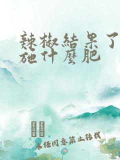 辣椒结果了应该施什么肥