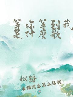 等你等到我心碎是什么歌 等你等到我心碎是什么歌