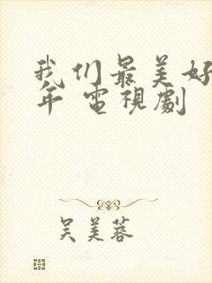 我们最美好的十年 电视剧