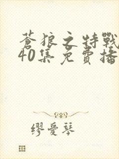 苍狼之特战突击40集免费播放