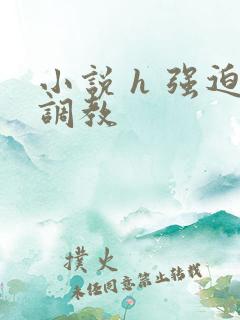 小说 h 强迫调教