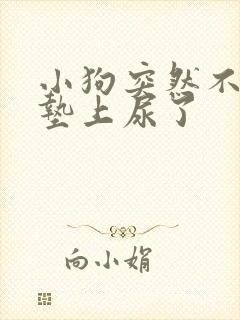 小狗突然不在尿垫上尿了