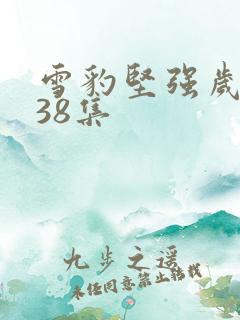 雪豹坚强岁月第38集