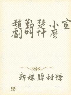 赵勤楚小宣的短剧叫什么 赵勤楚小宣的短剧叫什么