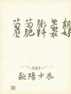 葡萄膨果期施什么肥料最好