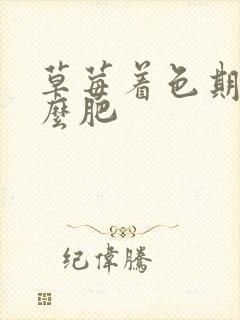 草莓着色期施什么肥
