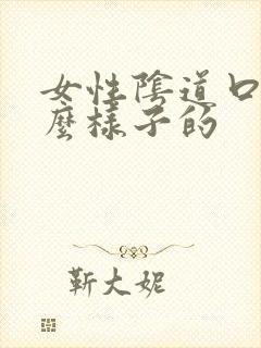 女性阴道口是什么样子的