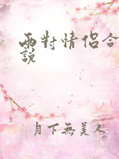 两对情侣合租小说