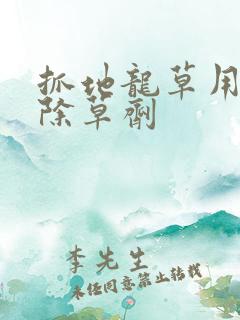 抓地龙草用什么除草剂