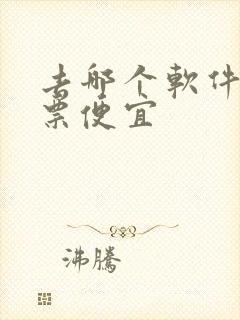 去哪个软件买机票便宜