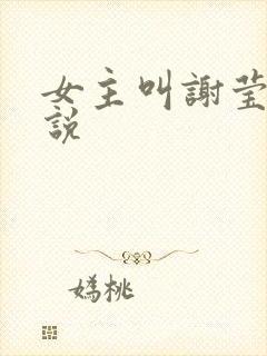 女主叫谢莹的小说