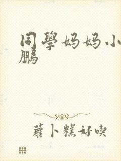 同学妈妈小说孙鹏