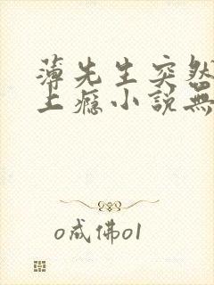 薄先生突然黏她上瘾小说无删减