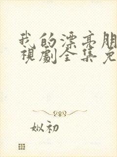 我的漂亮朋友电视剧全集免费观看
