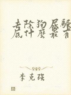 去除狗尿骚味到底什么最有效