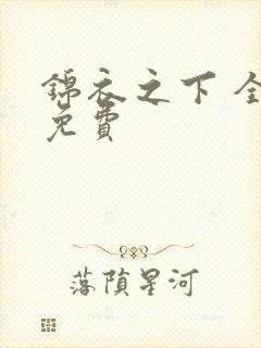 锦衣之下 全集免费
