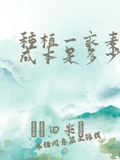 种植一亩麦冬的成本是多少,亩效益是多少