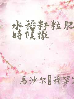 水稻籽粒肥什么时候撒