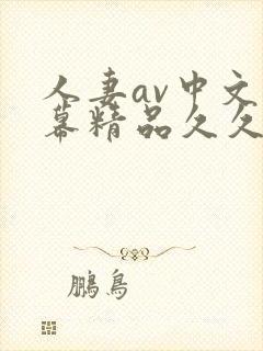 人妻av中文字幕精品久久久