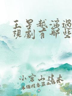 王星越演过的电视剧有哪些