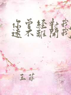 你曾经对我说永远不离开我是什么歌