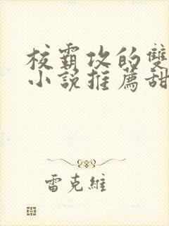 校霸攻的双男主小说推荐甜文