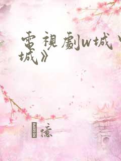 电视剧w城中之城》