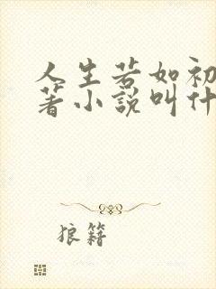 人生若如初见原著小说叫什么名字