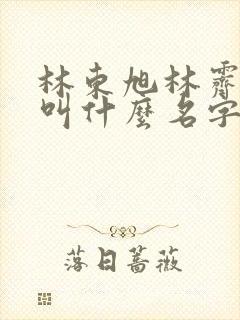林东旭林霁小说叫什么名字
