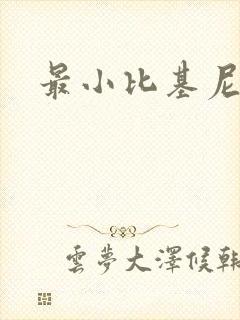 最小比基尼试穿
