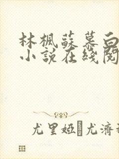 林枫苏慕白穿越小说在线阅读