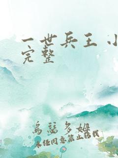 一世兵王 小说完整