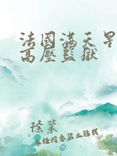 法国满天星电影高压监狱 法国满天星电影高压监狱